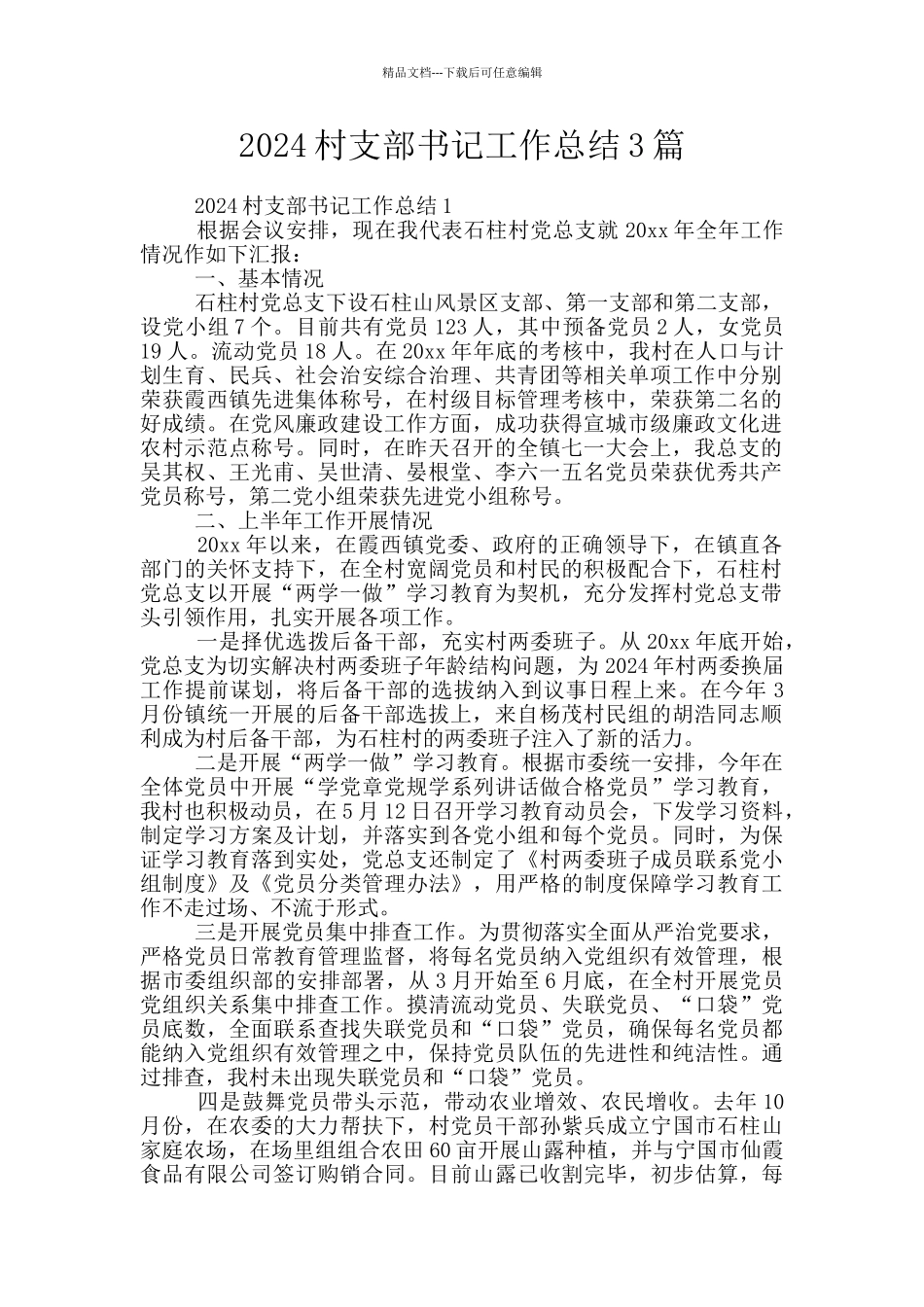 2024村支部书记工作总结3篇_第1页