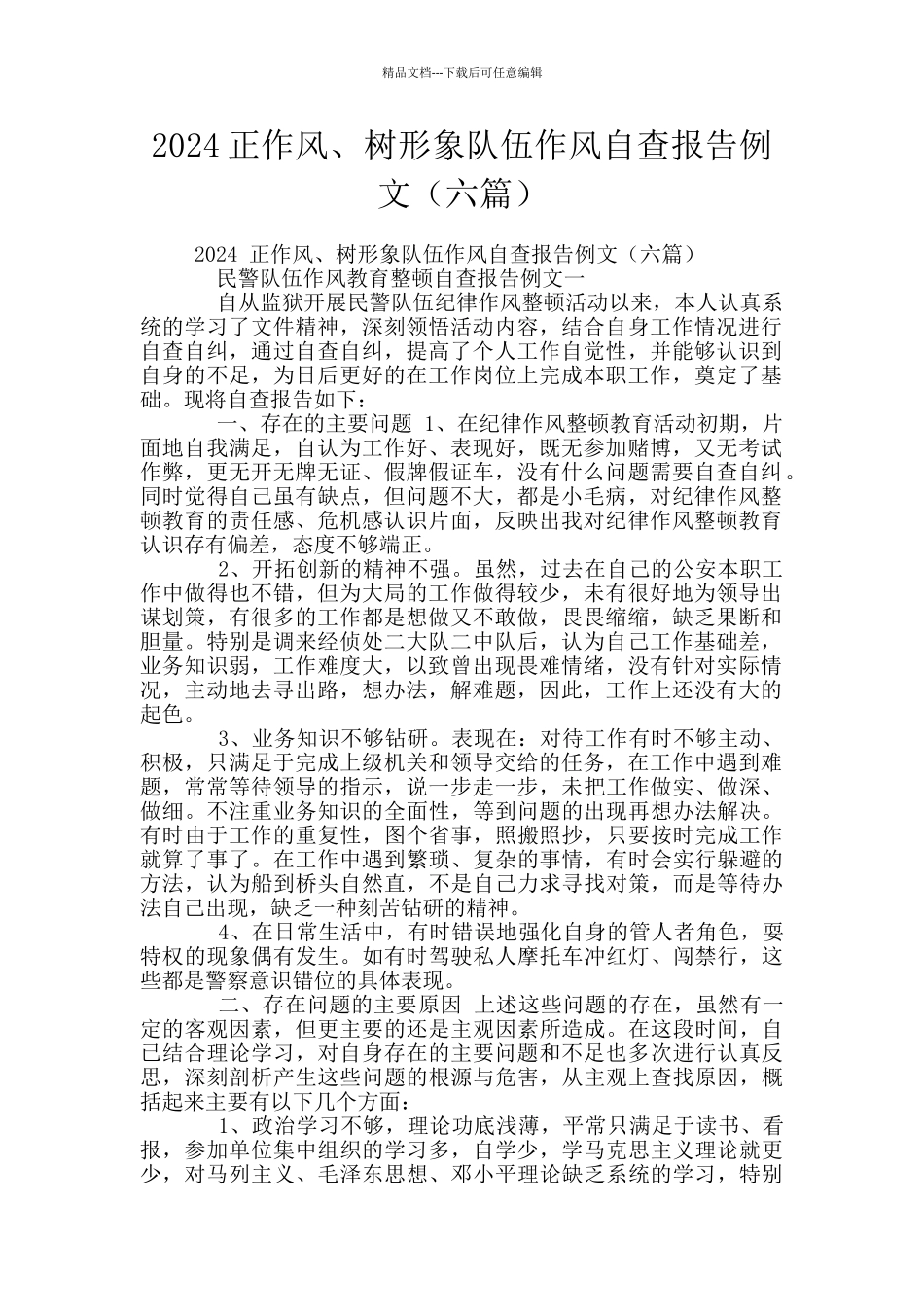 2024正作风、树形象队伍作风自查报告例文_第1页