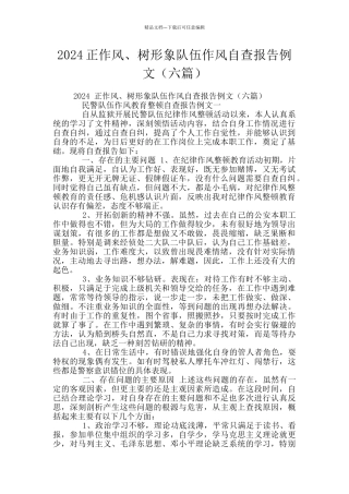 2024正作风、树形象队伍作风自查报告例文