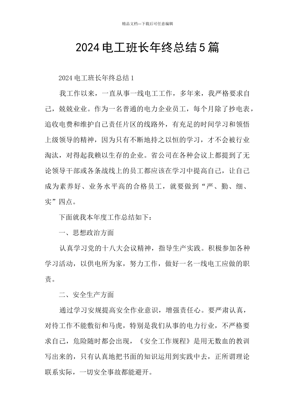 2024电工班长年终总结5篇_第1页