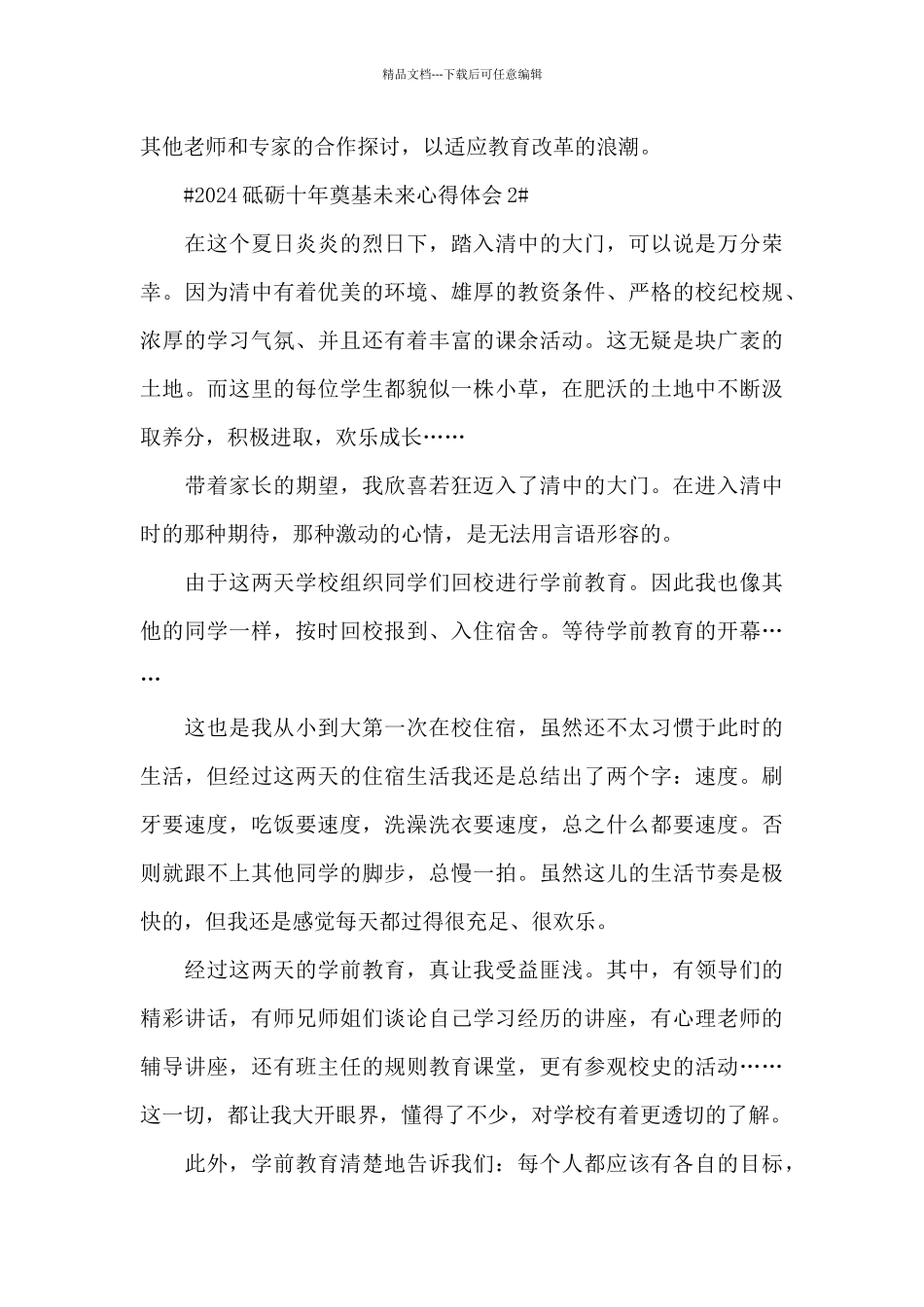 2024砥砺十年奠基未来心得体会5篇_第3页