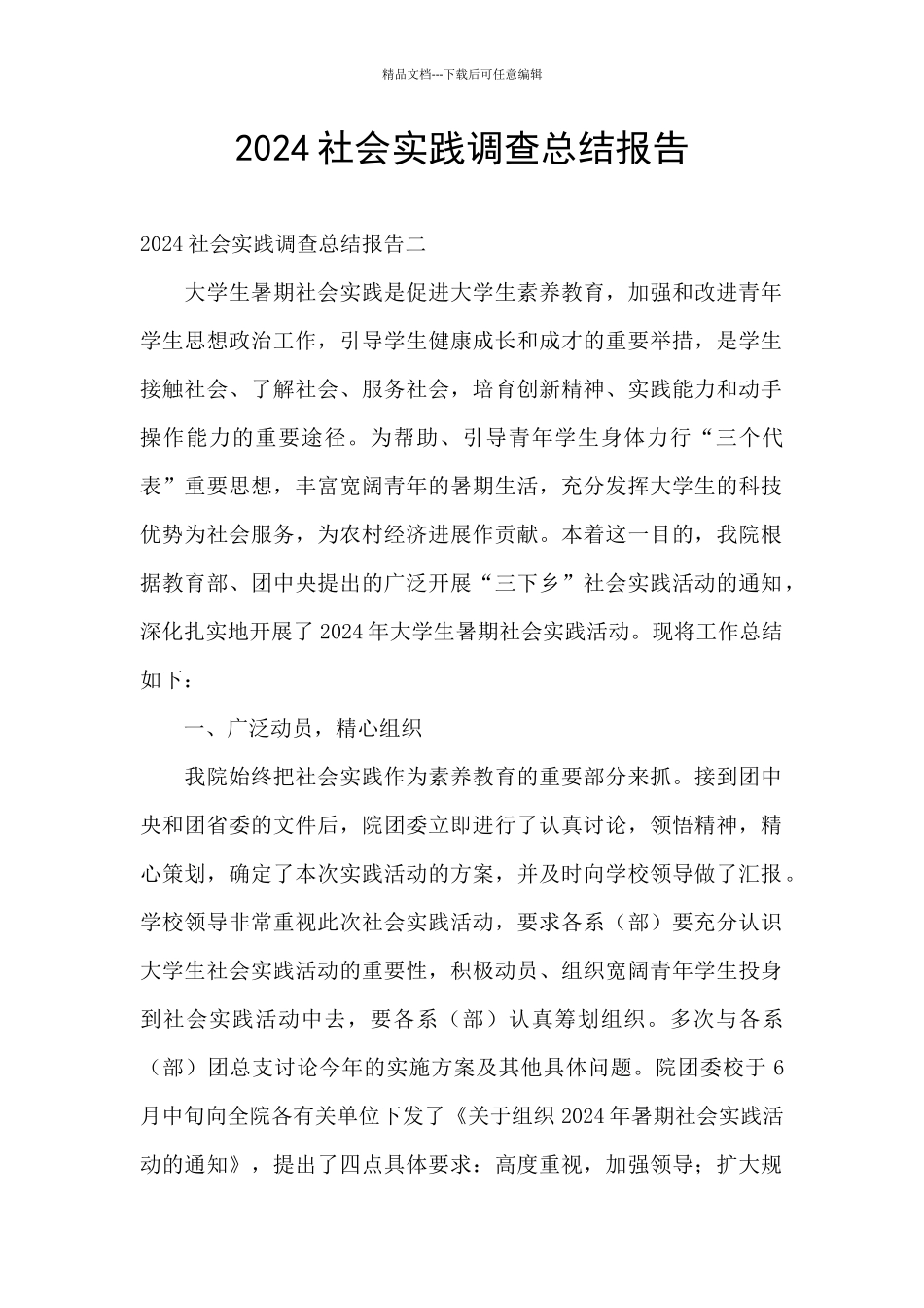 2024社会实践调查总结报告_第1页