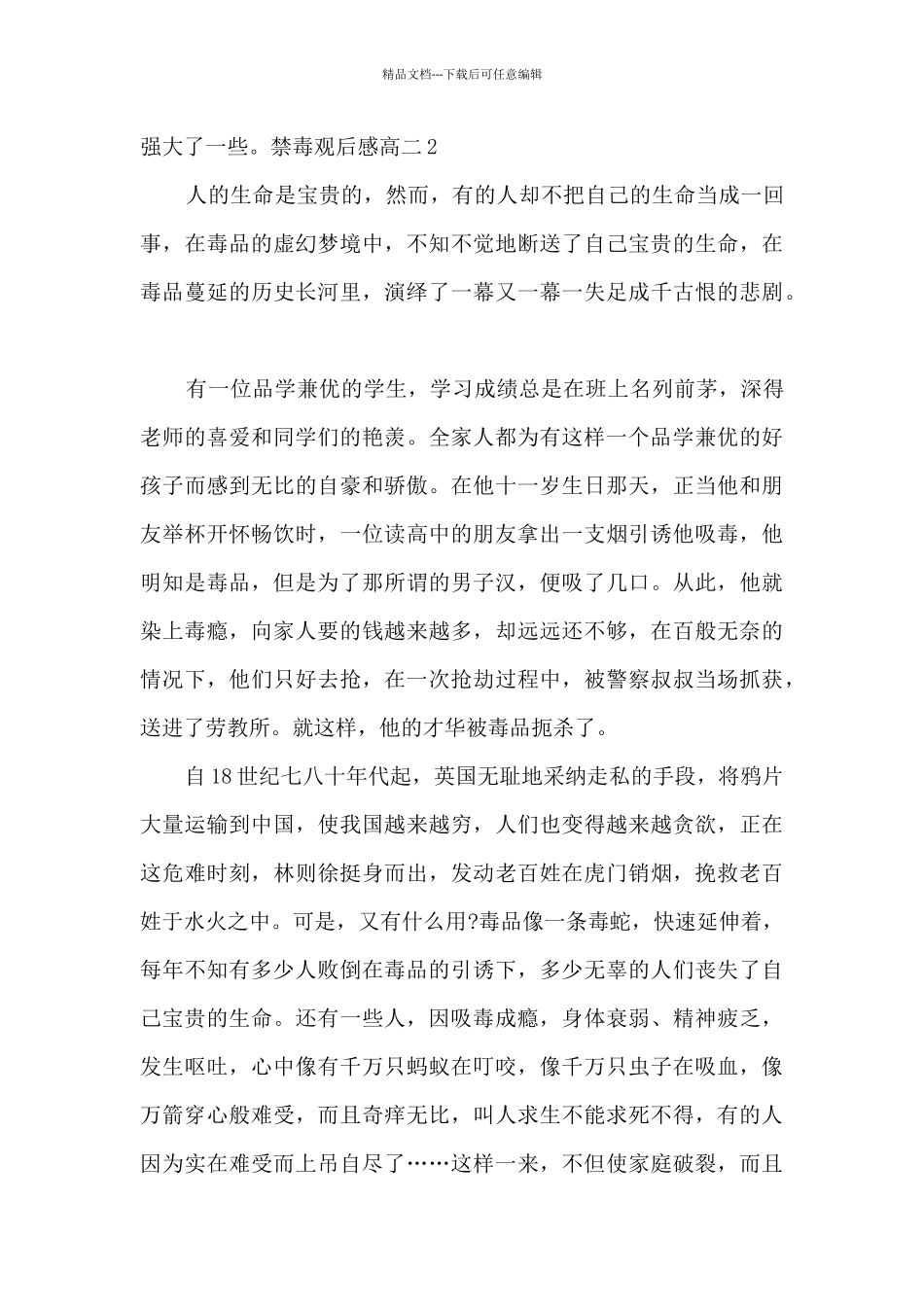 2024禁毒观后感高二多篇_第3页