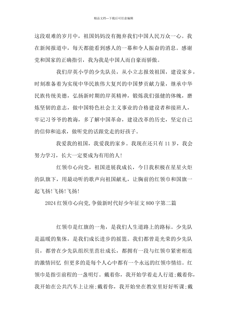 2024红领巾心向党_第2页