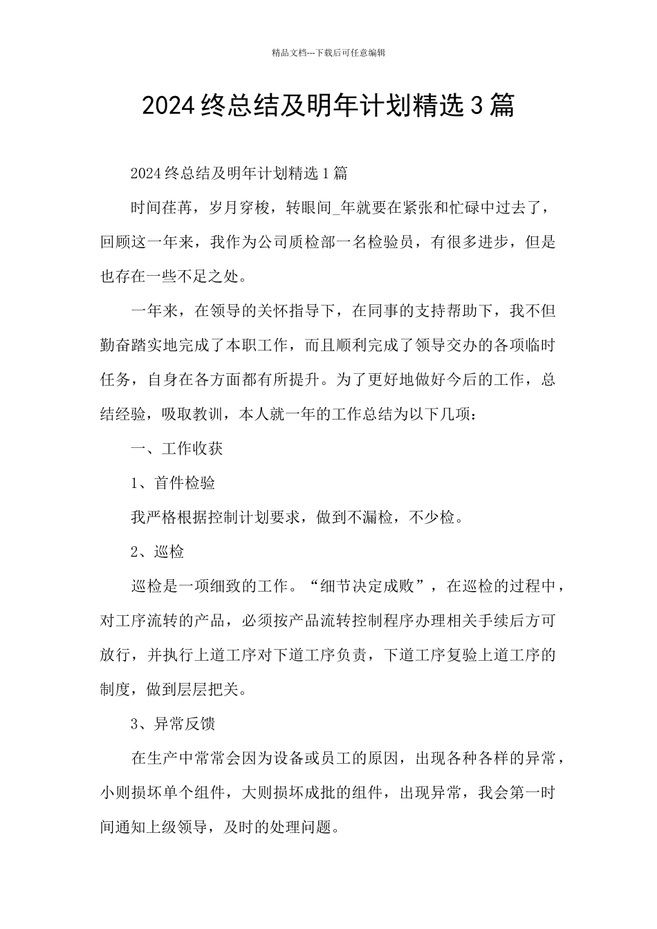 2024终总结及明年计划精选3篇_第1页