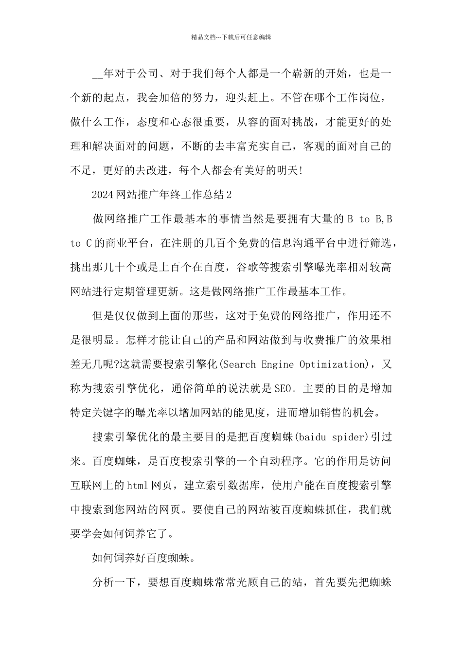 2024网站推广年终工作总结5篇_第3页