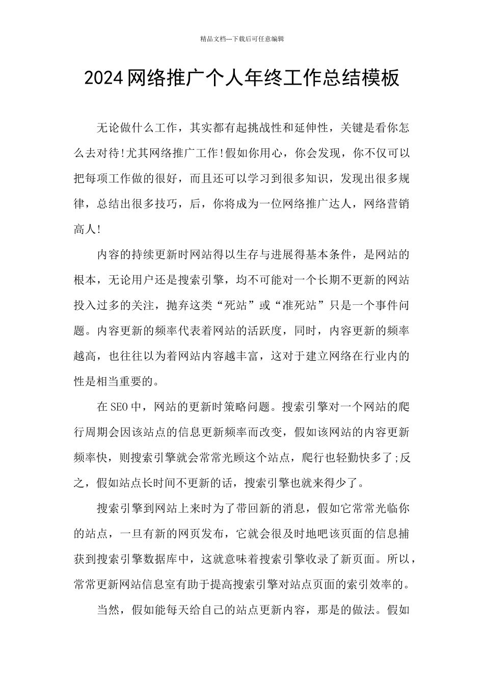 2024网络推广个人年终工作总结模板_第1页