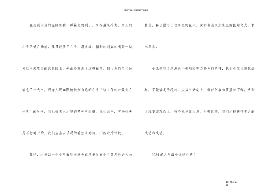2024老人与海小说读后感_第3页