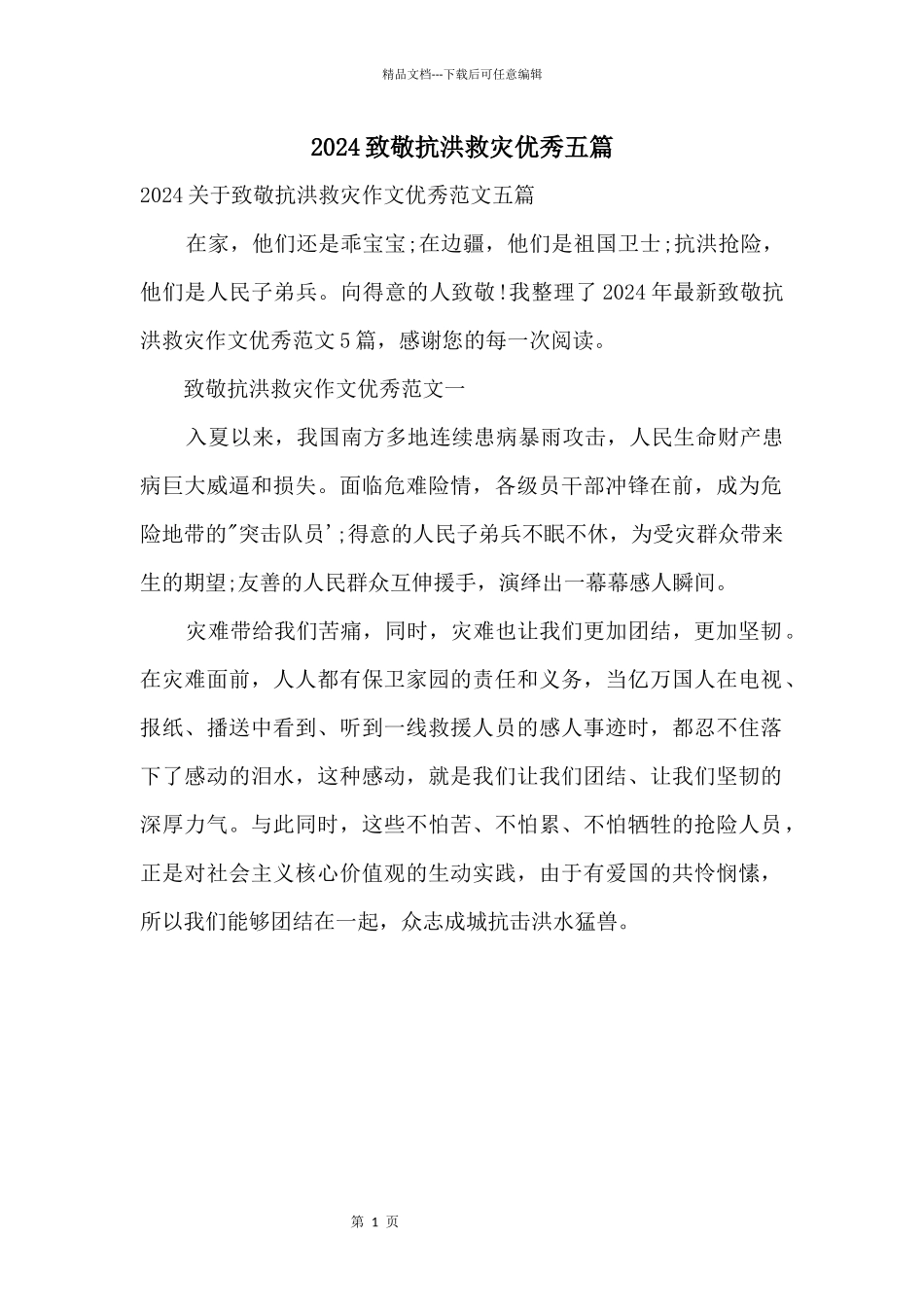 2024致敬抗洪救灾优秀五篇_第1页