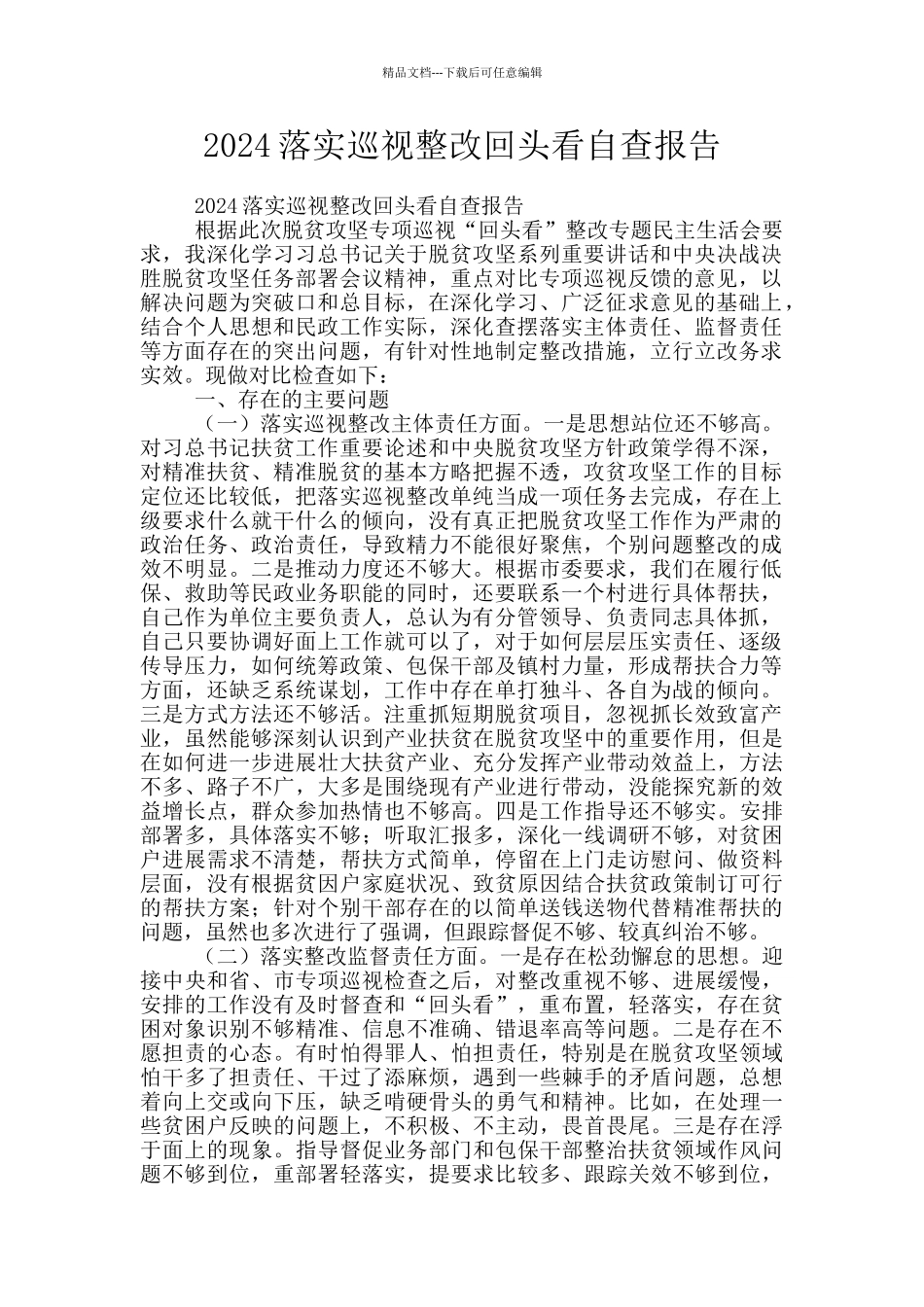 2024落实巡视整改回头看自查报告_第1页