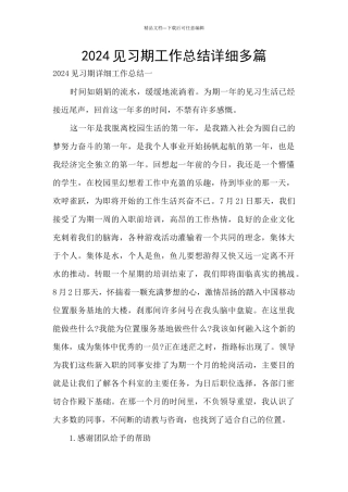 2024见习期工作总结详细多篇