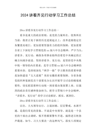 2024讲看齐见行动学习工作总结