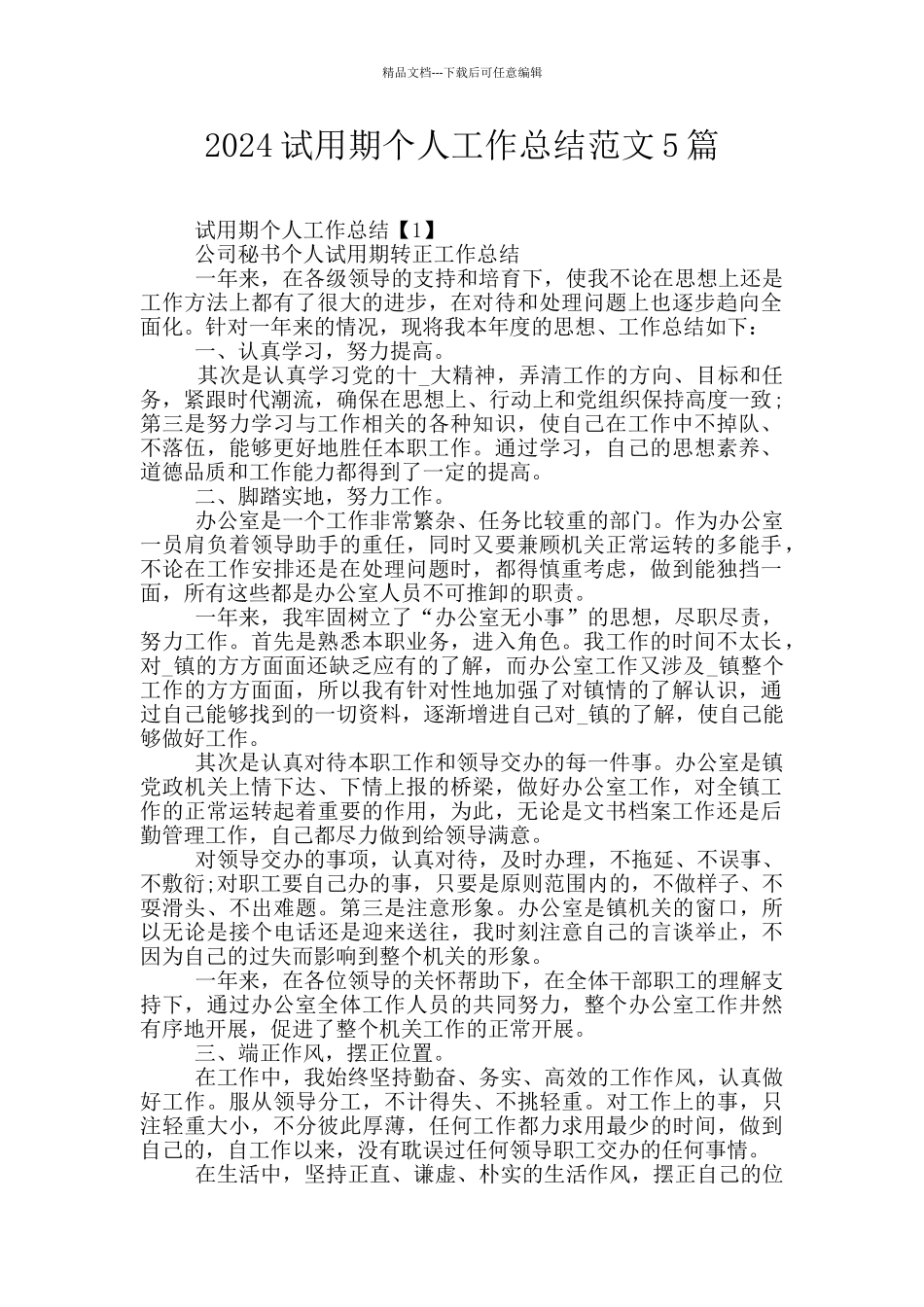 2024试用期个人工作总结范文5篇_第1页