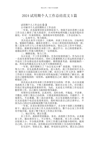 2024试用期个人工作总结范文5篇