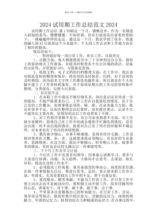 2024试用期工作总结范文2024