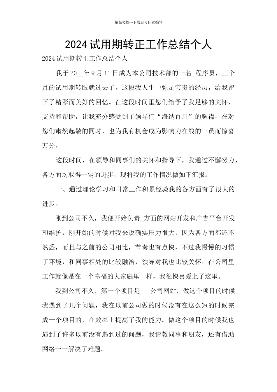 2024试用期转正工作总结个人_第1页