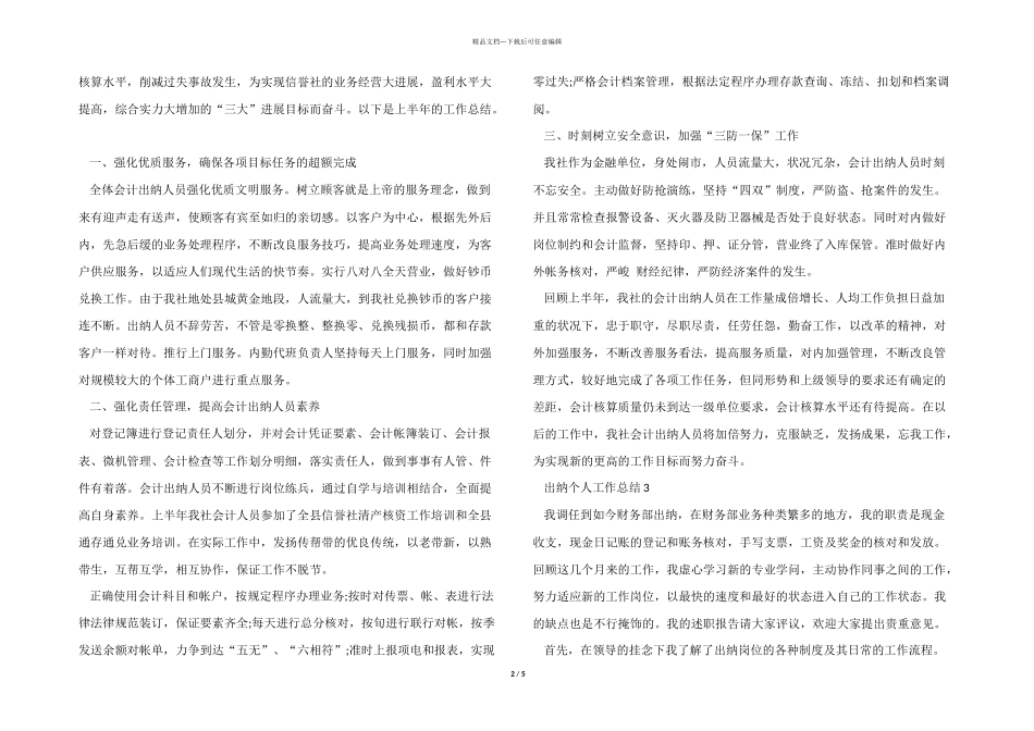 2024财务出纳个人工作总结模板_第2页