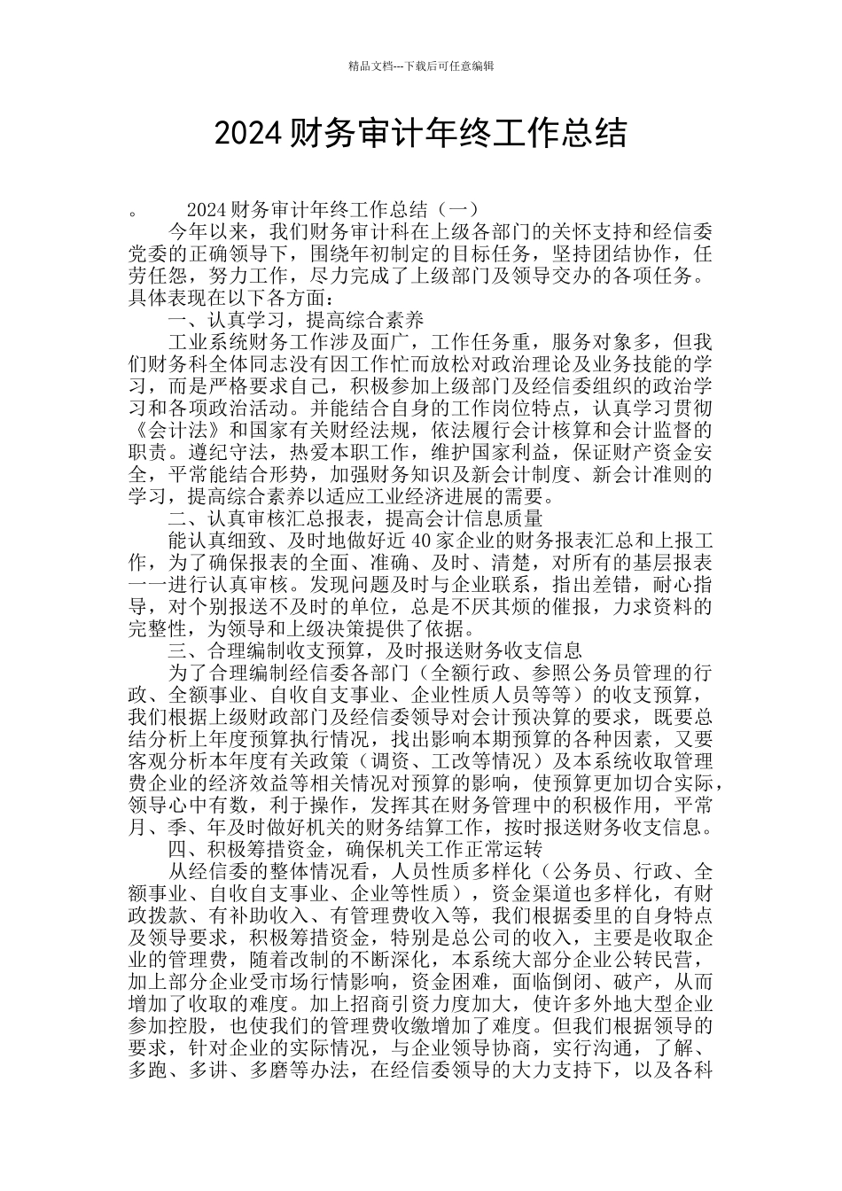 2024财务审计年终工作总结_第1页