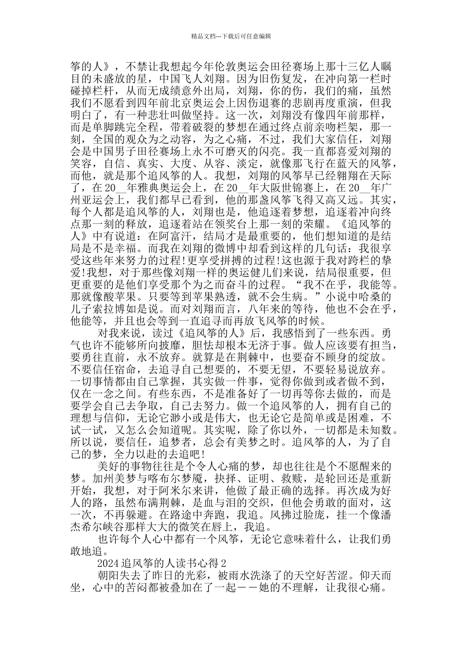 2024追风筝的人读书心得_第2页