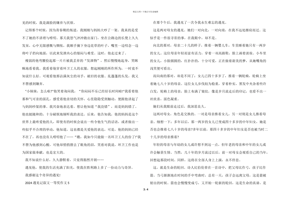 2024遇见记叙文一等奖_第3页