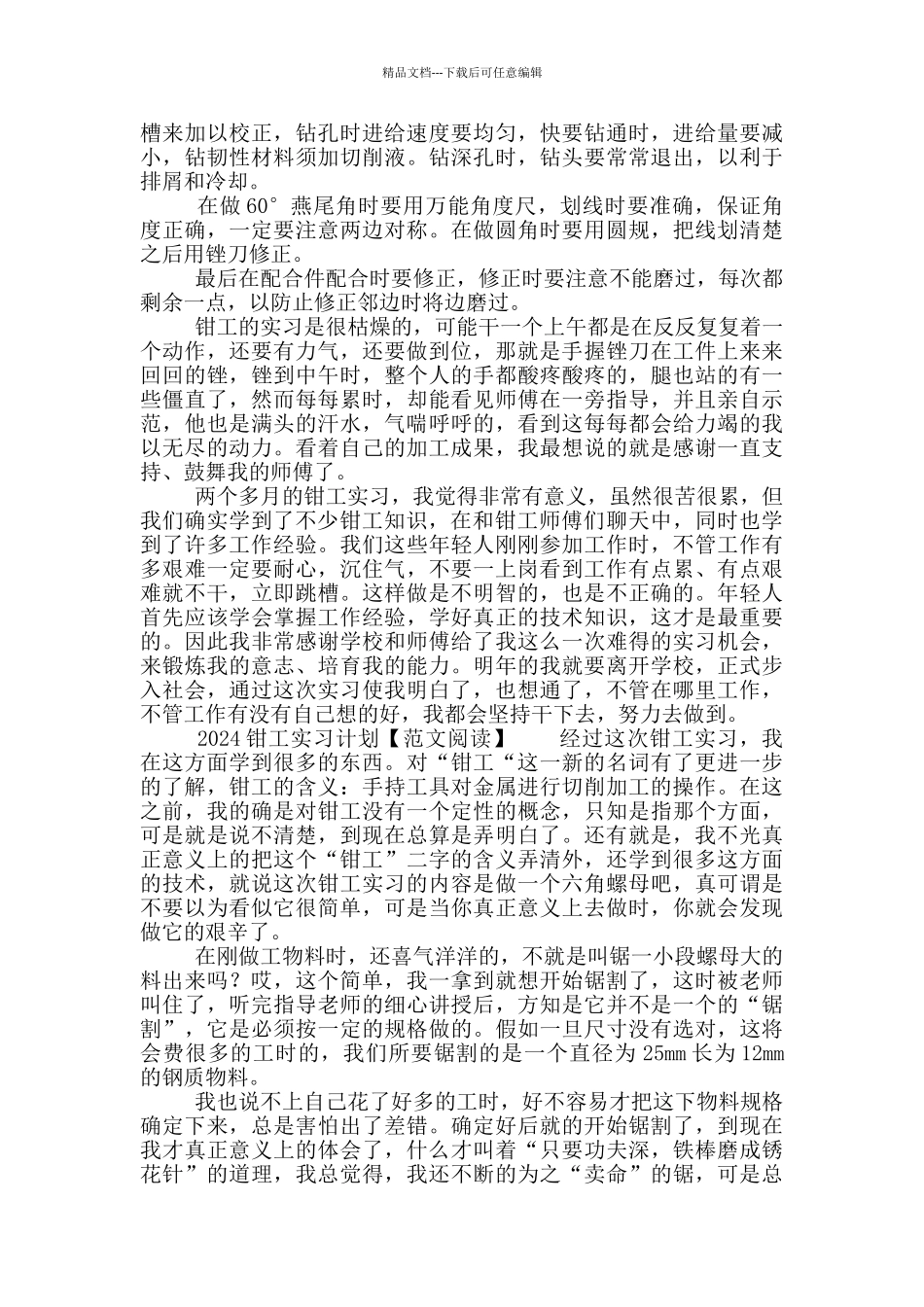 2024钳工实习计划全三篇_第3页