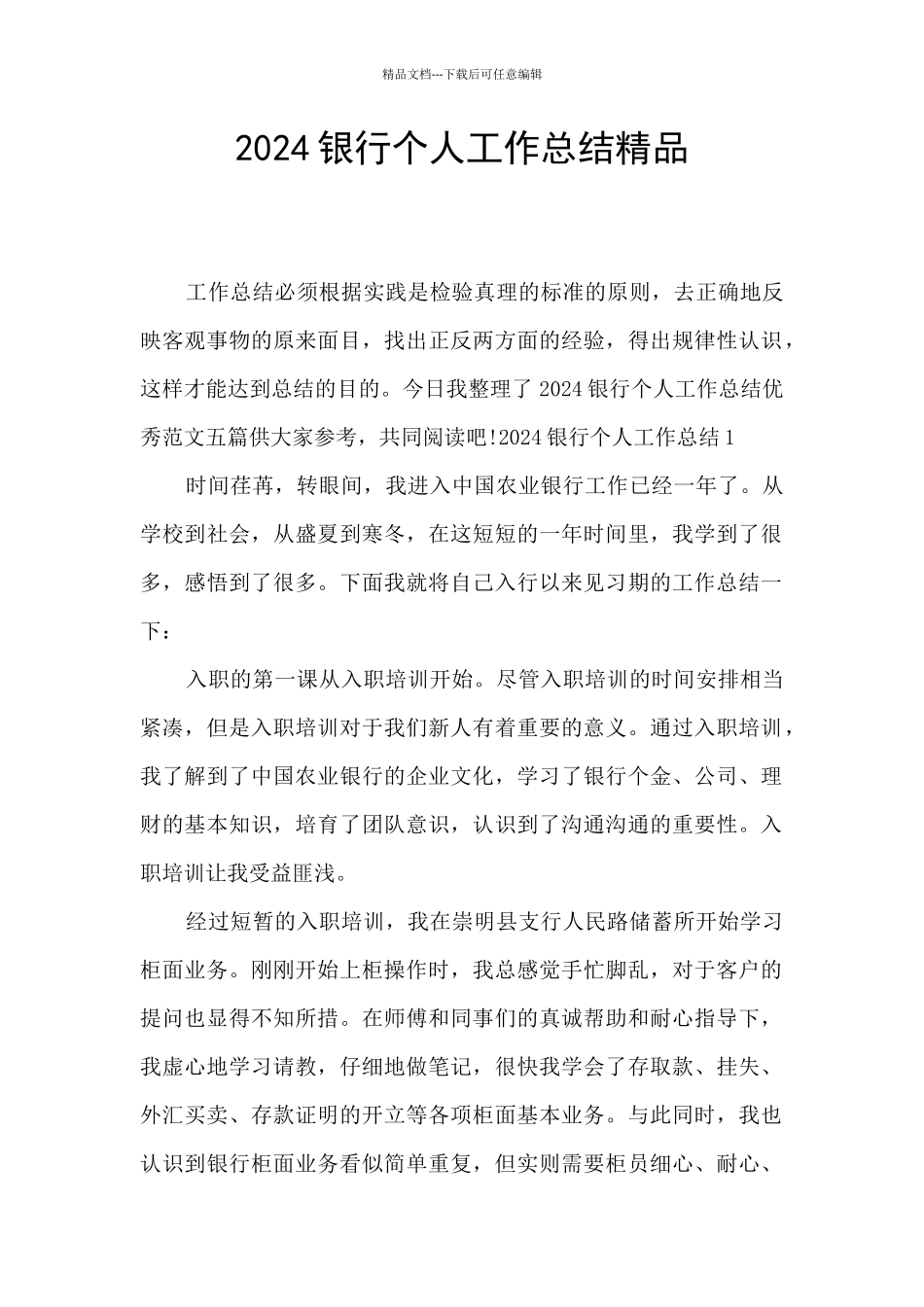 2024银行个人工作总结精品_第1页