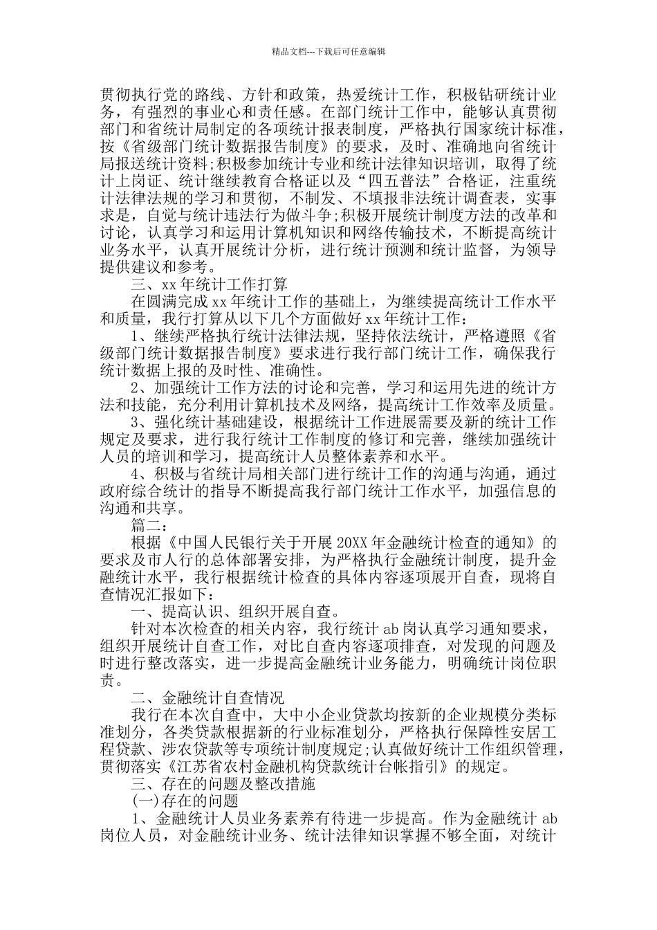 2024银行统计工作总结_第2页