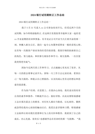 2024银行试用期转正工作总结