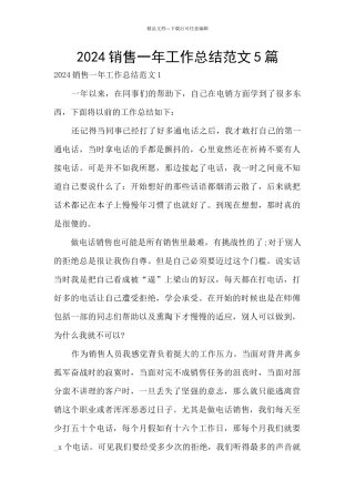 2024销售一年工作总结范文5篇
