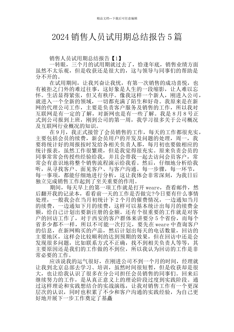 2024销售人员试用期总结报告5篇_第1页