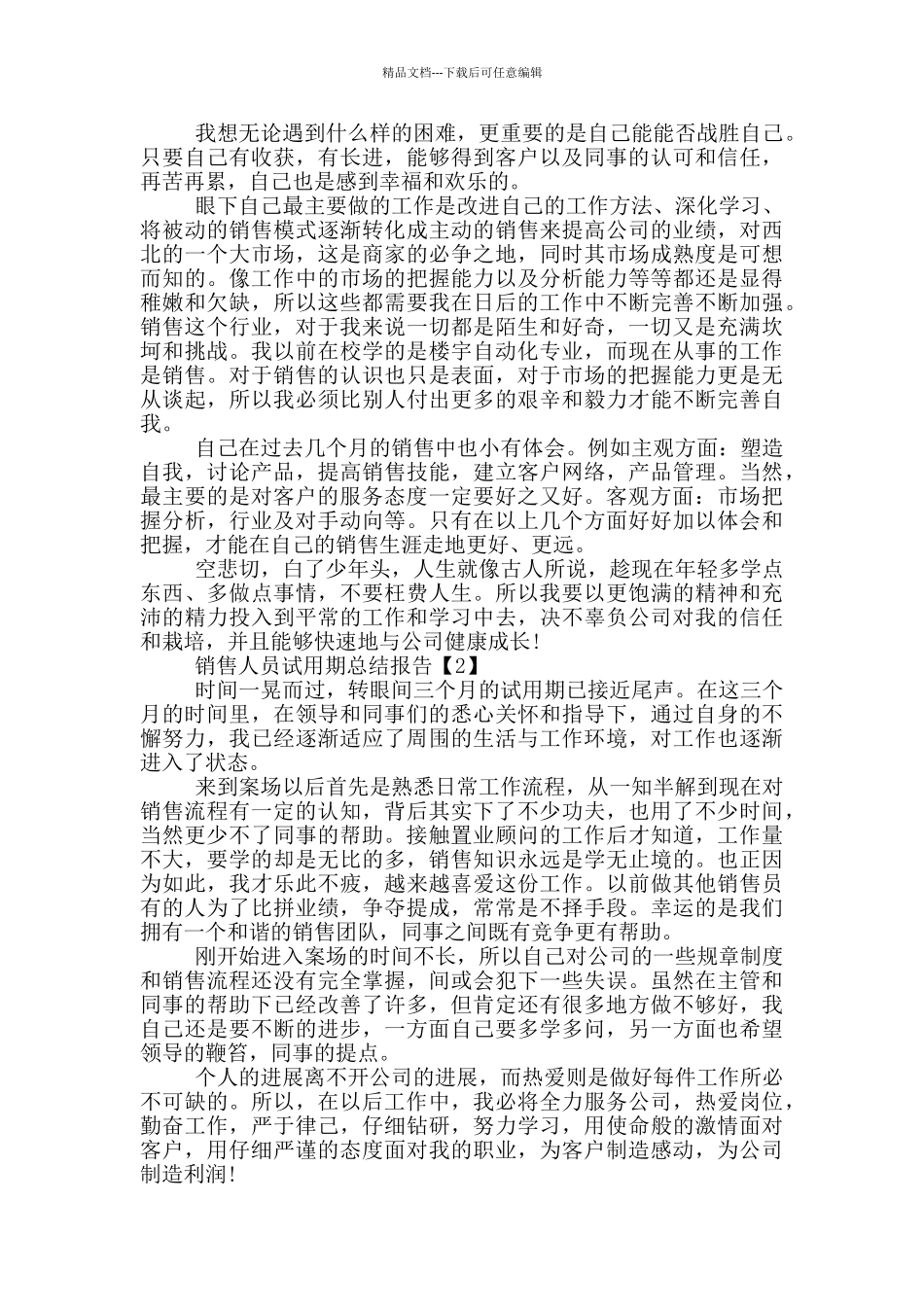 2024销售人员试用期总结报告5篇_第2页