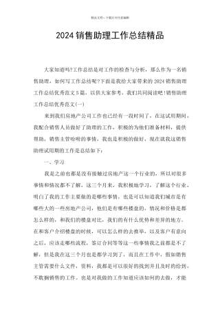 2024销售助理工作总结精品