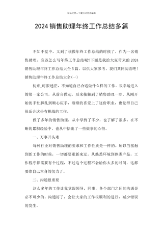2024销售助理年终工作总结多篇