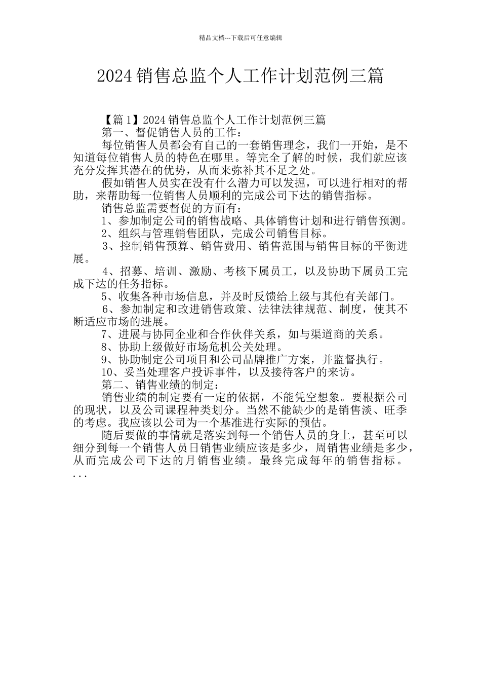 2024销售总监个人工作计划范例三篇_第1页