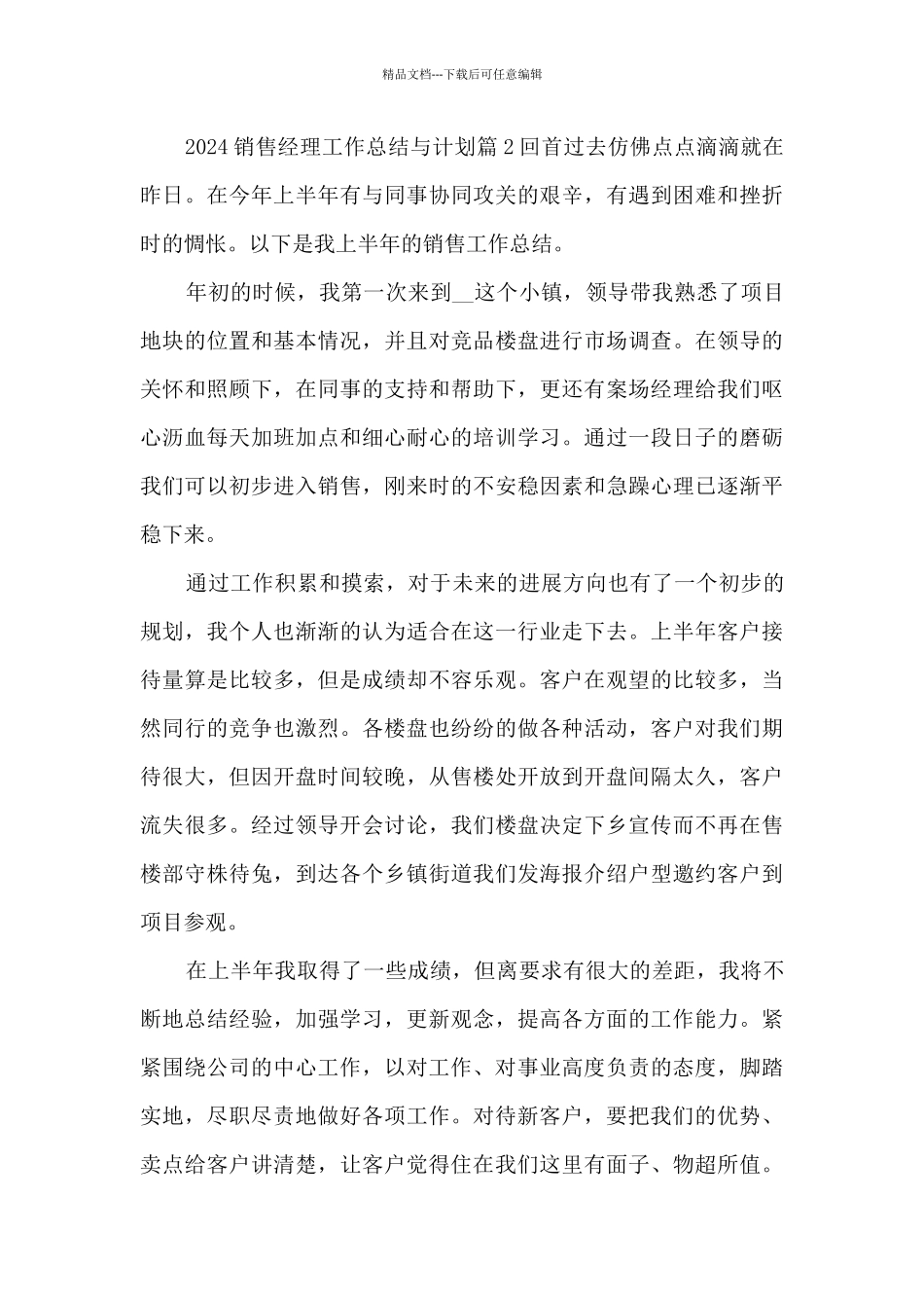 2024销售经理工作总结与计划11篇_第3页