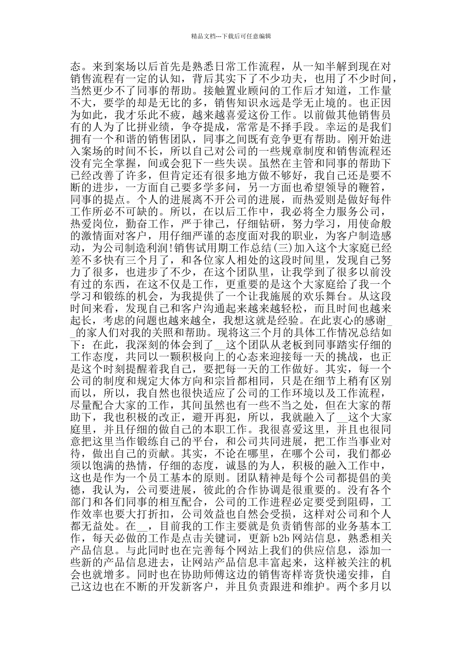 2024销售试用期工作总结范文5篇_第2页