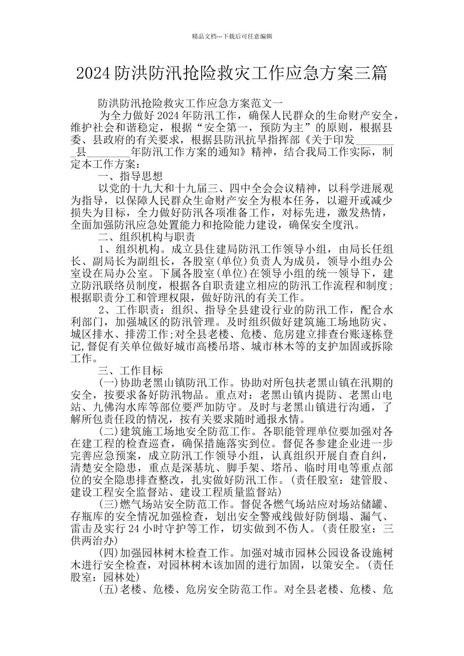 2024防洪防汛抢险救灾工作应急方案三篇_第1页