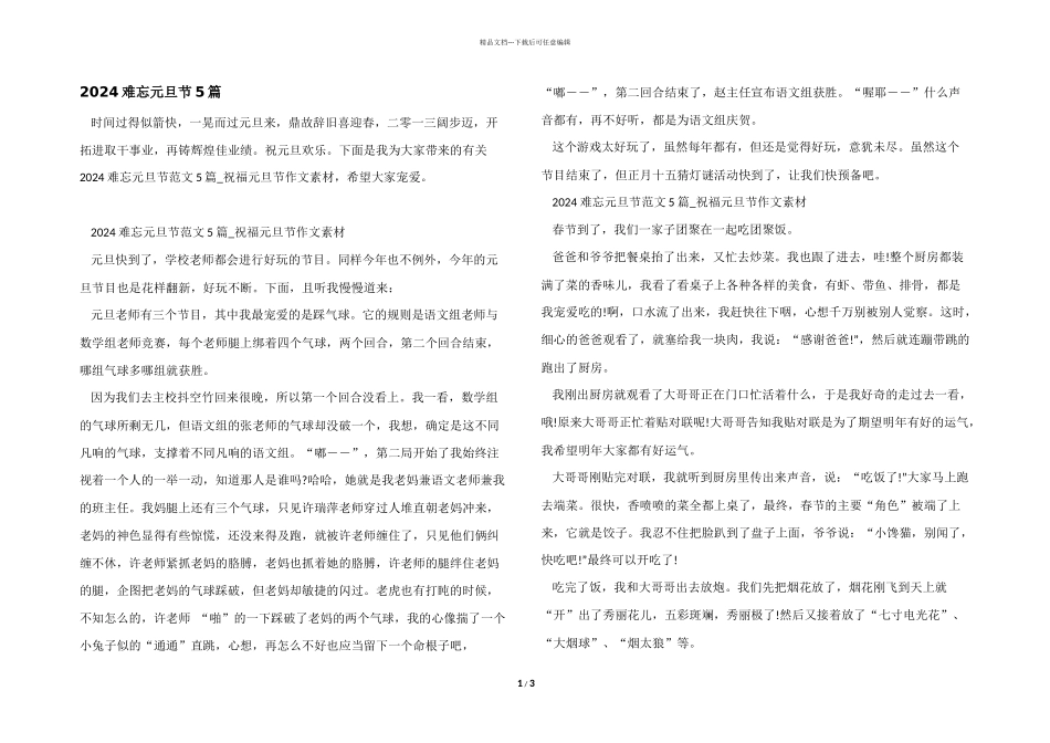 2024难忘元旦节5篇_第1页