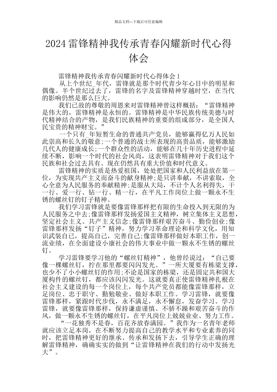 2024雷锋精神我传承青春闪耀新时代心得体会_第1页