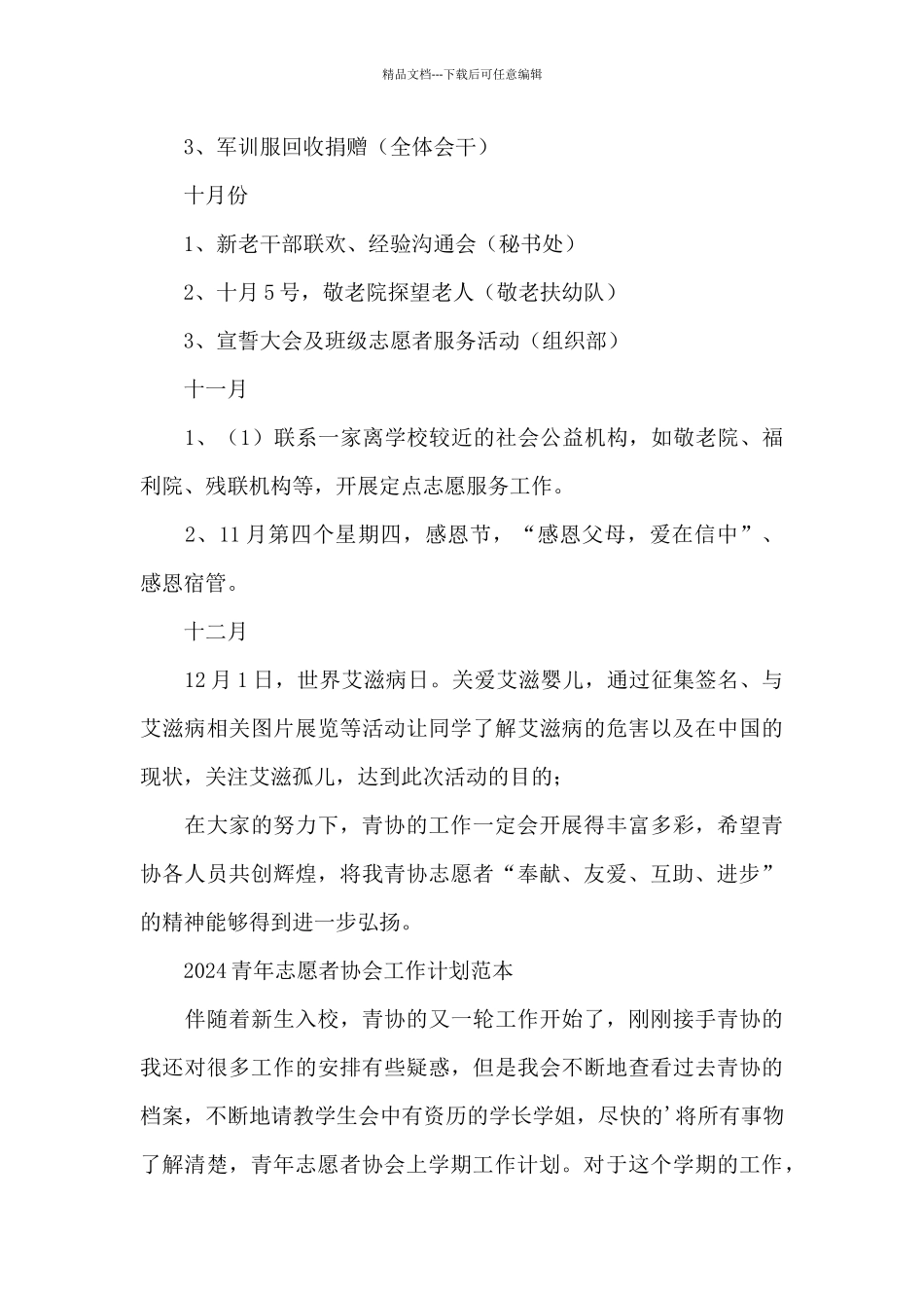 2024青年志愿者协会工作计划范本_第3页