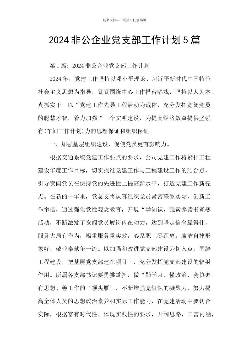 2024非公企业党支部工作计划5篇_第1页
