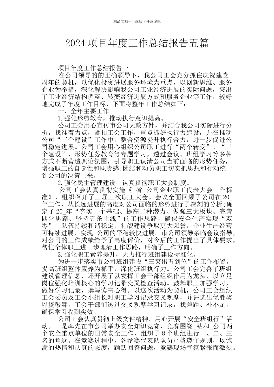 2024项目年度工作总结报告五篇_第1页
