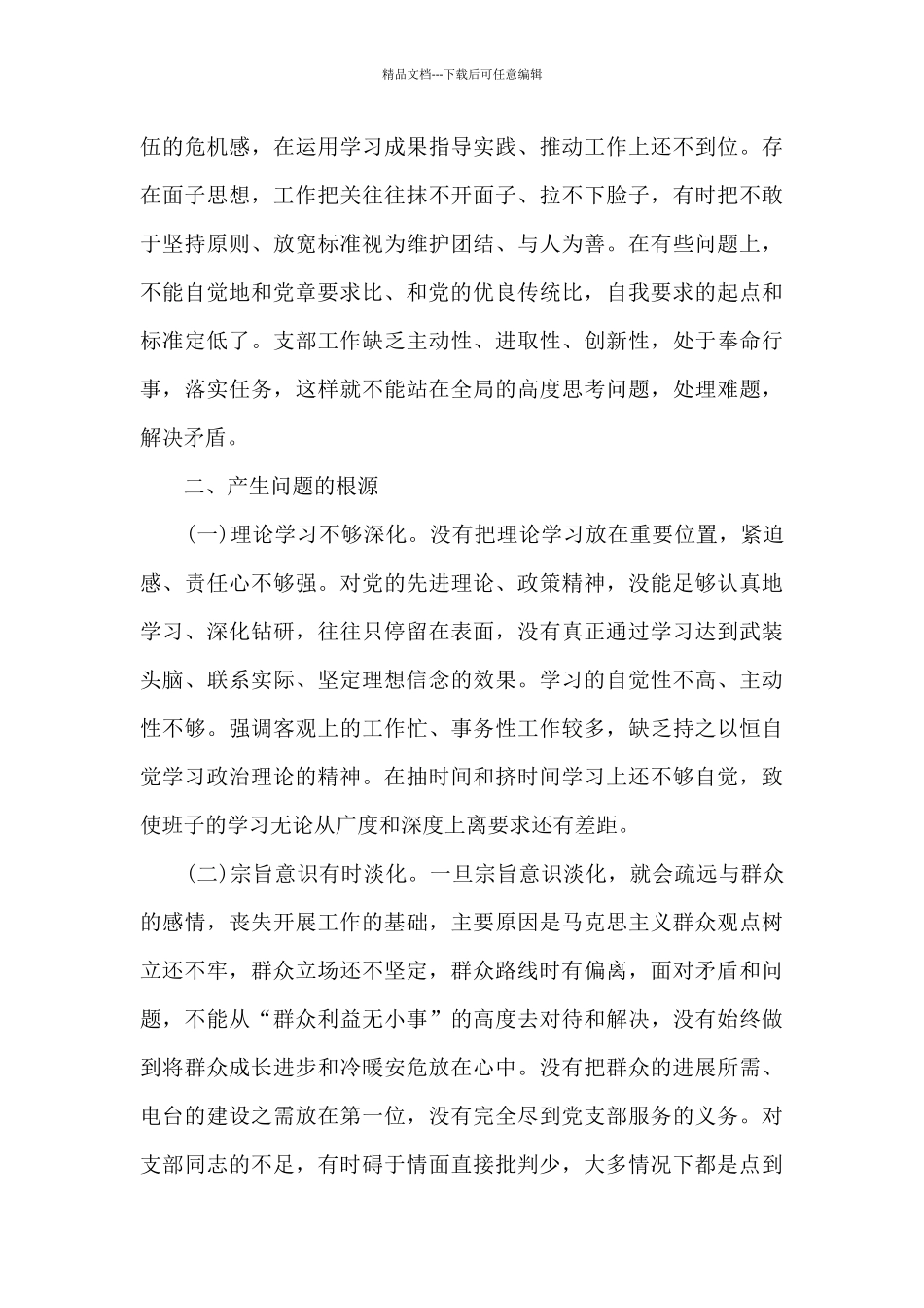 202支部班子对照检查材料范文(精选9篇)_第3页