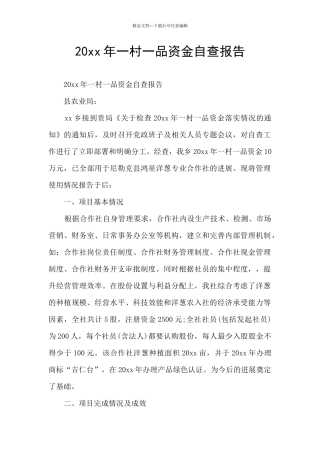 20xx年一村一品资金自查报告