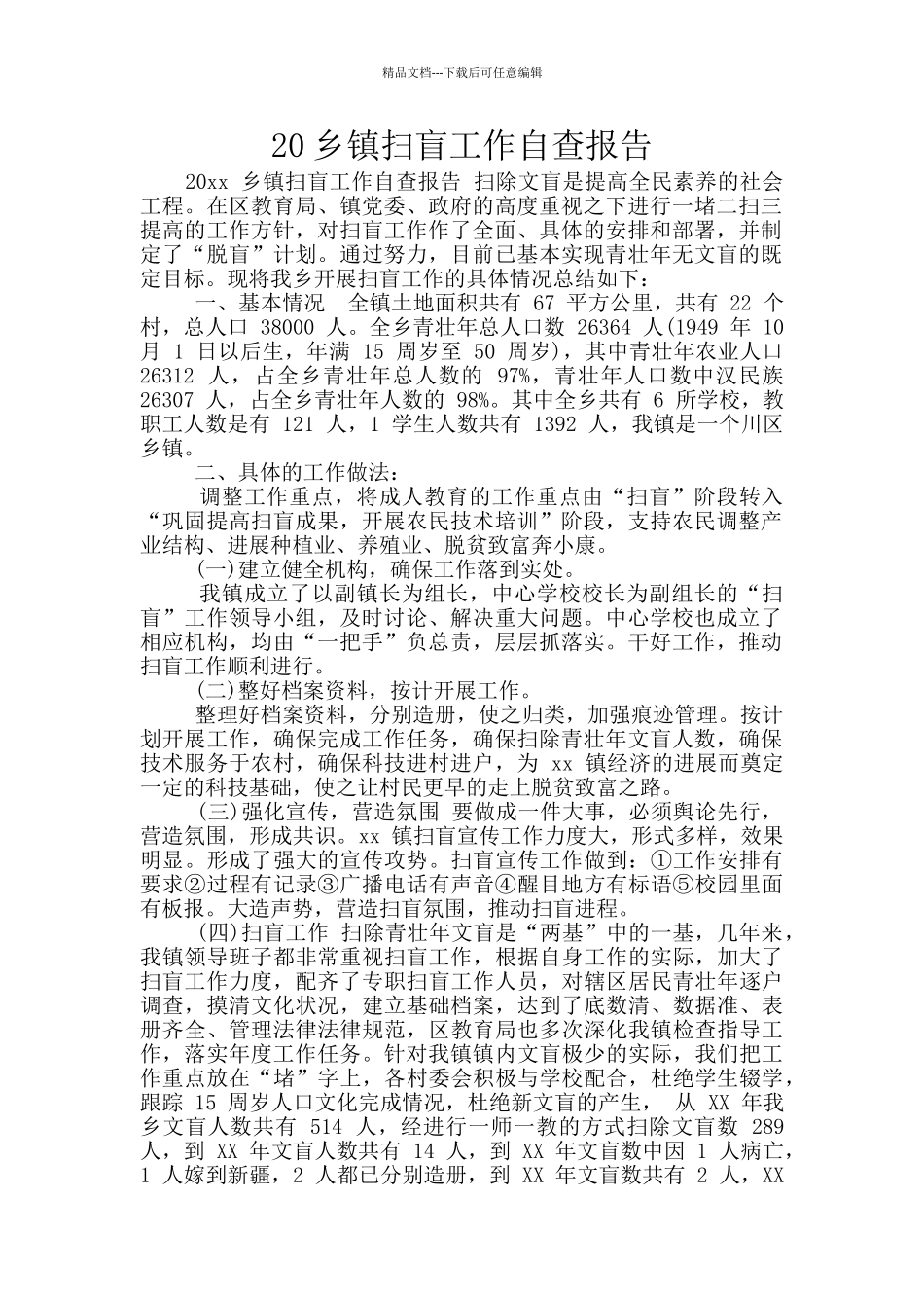 20乡镇扫盲工作自查报告_第1页