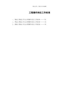 2项目操作岗位工作标准