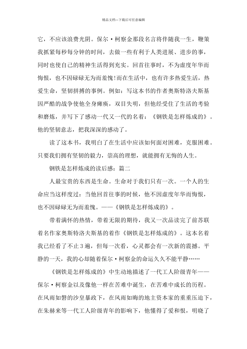 5篇精选名著《钢铁是怎样炼成的》读后感作文_第2页
