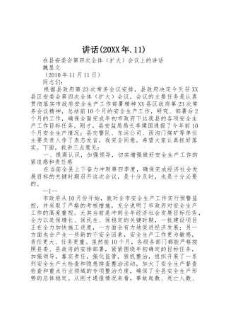 讲话(20XX年.11)