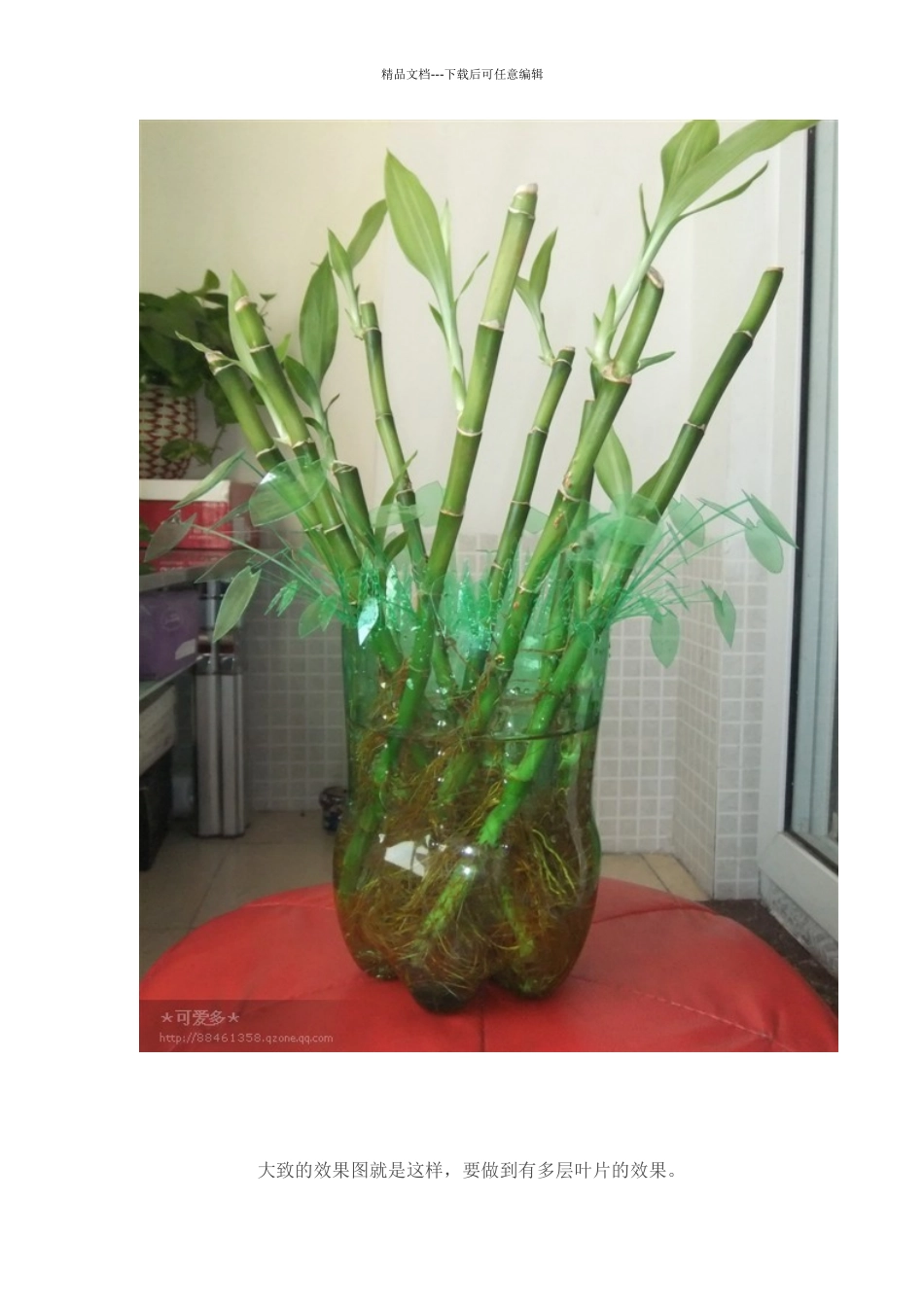DIY我的改进版塑料瓶水培花篮_第2页