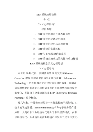 ERP系统应用咨询(共32页)
